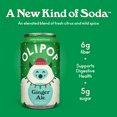 thumbnail image 3 of (3 pack) OLIPOP Prebiotic Soda, Ginger Ale, 12 fl oz, Pantry Packs, 3 of 16