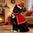 thumbnail image 2 of Cat Christmas Costume, Pet Santa Hat with Xmas Clothes for Cats Small Dogs Rabbits, Cat Santa Hat and Red Warm Cloak Coat, New Year Puppy Red Clothes Outfit, Adjustable, 2 of 9