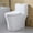 White, variant on HOROW Compact One Piece Toilet with Comfort Seat ADA Height 17.3" Elongated Dual Flush 0.8/1.28 GPF