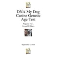 thumbnail image 2 of DNA My Dog - NextGen Breed ID PLUS Genetic Age Test, 2 of 7