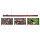 thumbnail image 4 of Alimentador De Colibrí, Tubo Transparente De Alimentación De Pájaros Exterior Con Agujero Para Decoración De Jardín Yuarrent PT002640-02, 4 of 6