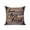 Brown, variant on 1 Pack Outdoor Throw Pillow, Vintage Boho Waterproof Pillow with Insert Included, Farmhouse Retro Teal Brown Wooden Grain Decorative Accent Cushion Sofa Pillows for Patio Porch, 16 x 16 In