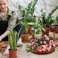 thumbnail image 4 of 1 Set Indoors Outdoors Bonsai Planting Pot Plastic Oval Bonsai Pot Durable Planting Pot, 4 of 9