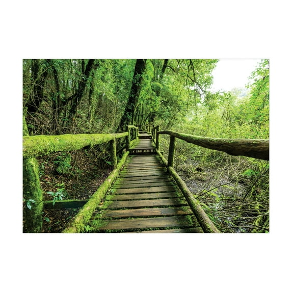 Ambesonne Rainforest Jigsaw Puzzle, Rainforest in Inthanon, Heirloom-Quality Fun Activity for Family Durable Cardboard, 1000 pcs, Green Brown
