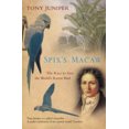 thumbnail image 2 of Spix's Macaw: The Race to Save the World's Rarest Bird, 2 of 2