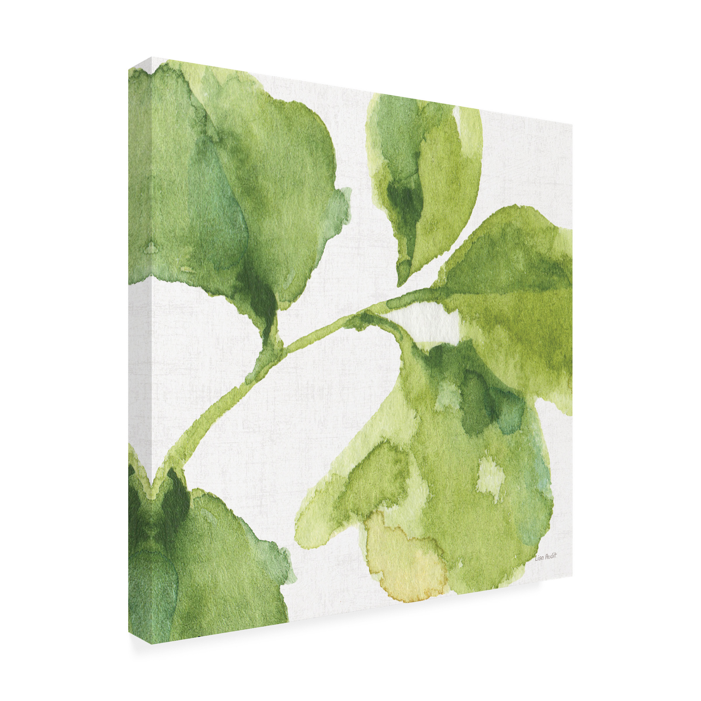 Trademark Fine Art 'Blue and Green Garden VII' Canvas Art by Lisa Audit