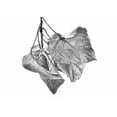 thumbnail image 2 of Schell, Jennie Marie 14x11 Black Ornate Wood Framed with Double Matting Museum Art Print Titled - Leaves Dried Black and White, 2 of 4