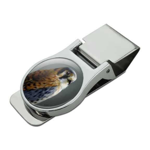 American Kestrel on Branch Painting Satin Chrome Plated Metal Money Clip