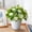D, variant on Artificial Potted Plants for Home Decor - Realistic Fake Greenery for Tabletop Shelf Decoration - DIY Landscape Simulation Flowers - Restaurant Office Bedroom Beautification