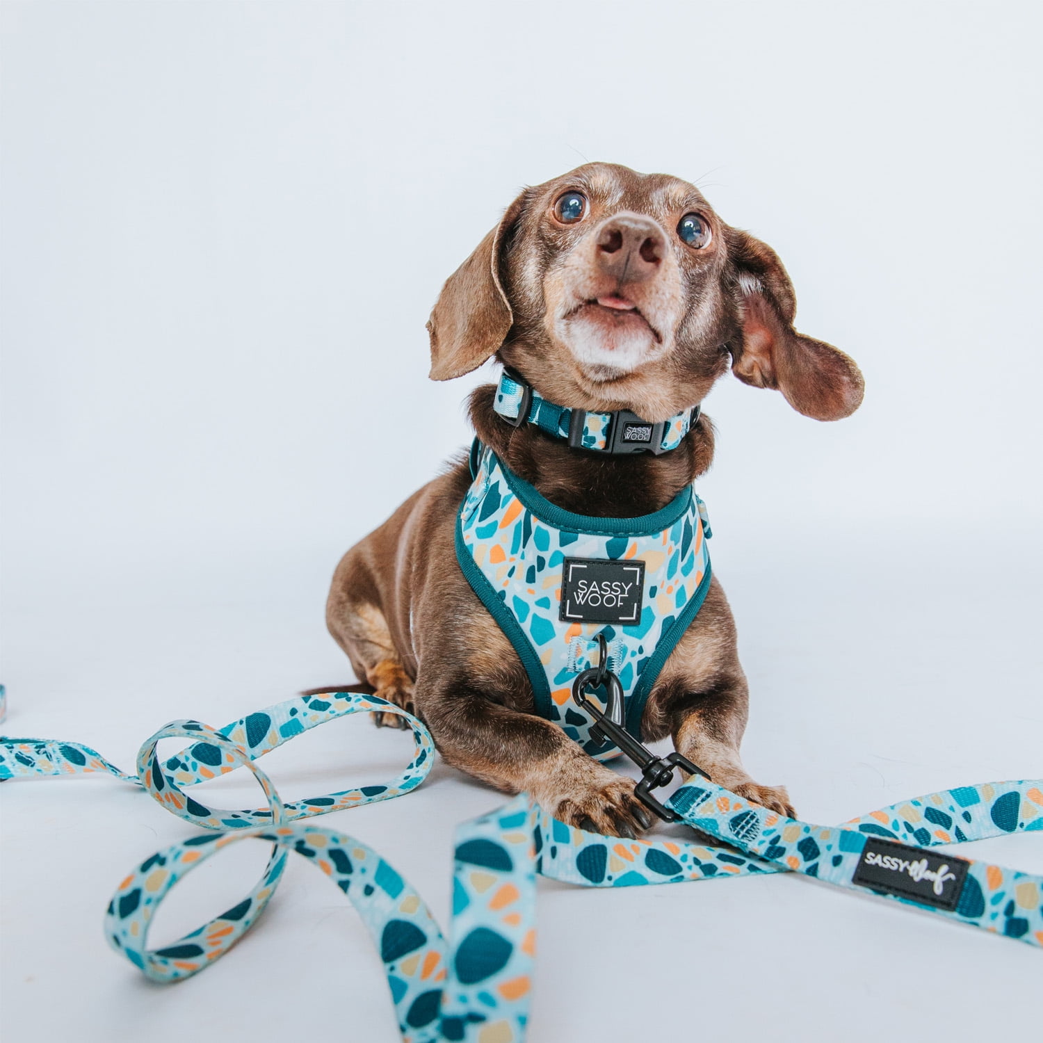 Sassy Woof Cushioned Adjustable Dog Collar- Blue Terrazzo, Small