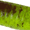 Dark Crawler-Chartreuse Pepper, variant on Berkley Gulp! Killer Crawler Soft Bait, Nightcrawler