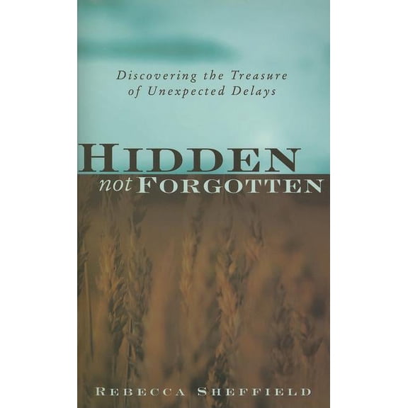 Hidden, Not Forgotten: Discovering the Treasure of Unexpected Delays (Paperback)