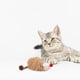 thumbnail image 5 of Juguetes Interactivos Para Gatos Juguetes Juguete Interactivo Chirriante Para Gatos Juguete Masticable Para Mascotas (E), 5 of 6