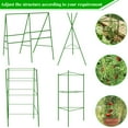 thumbnail image 4 of Halatool 2 Pack Green Tomato Cages, Up to 63in(5.2FT) Adjustable Tall Tomato Plant Support, Garden Stakes Tomato Trellis for Pots & Vegetables Flowers, 4 of 7
