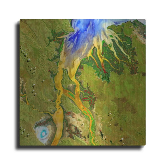 Luxe Metal Art 'Earth as Art: Nature's Patterns,' Metal Wall Art, 24"x24"