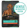 Purina Pro Plan Probiotic, Sensitive Stomach Dry Puppy Food, Sensitive Skin & Stomach Salmon & Rice Formula, 4 lb. Bag