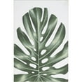 thumbnail image 4 of nuLOOM Taka Palm Indoor/Outdoor Machine Washable Area Rug, 5' x 8', Taka Green, 4 of 6