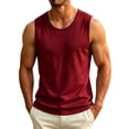thumbnail image 3 of Dagugfen Workout Tank Tops for Men Mesh Breathable Regular Fitted Sleeveless Crew Neck Basic Layer Tops Summer Outdoor Activewear Tanks, 3 of 7