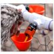 thumbnail image 5 of Greeniant Bebedero para pollos, 10 Uds., taza para beber, multifuncional, desmontable, de una sola boquilla, para alimentación de aves de corral Suministros de alimentación y agua para mascotas, 5 of 5