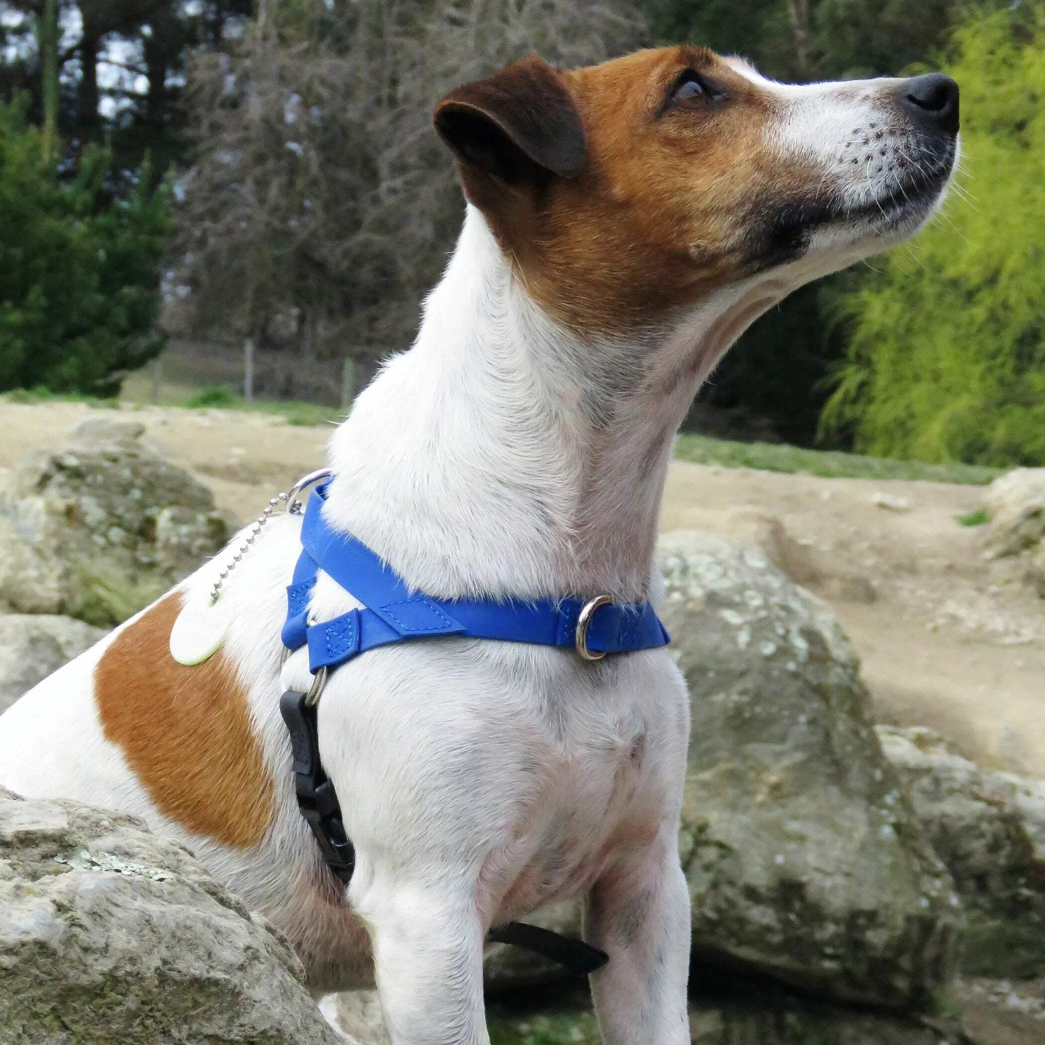 Ultrahund No-Pull Harness Extra Small - Orange