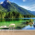 thumbnail image 3 of IDEA4WALL 6pcs Natural Landscape Peel and Stick Wallpaper Removable Wall Murals Large Wall Stickers for Home Decoration, 100"x24", 3 of 5