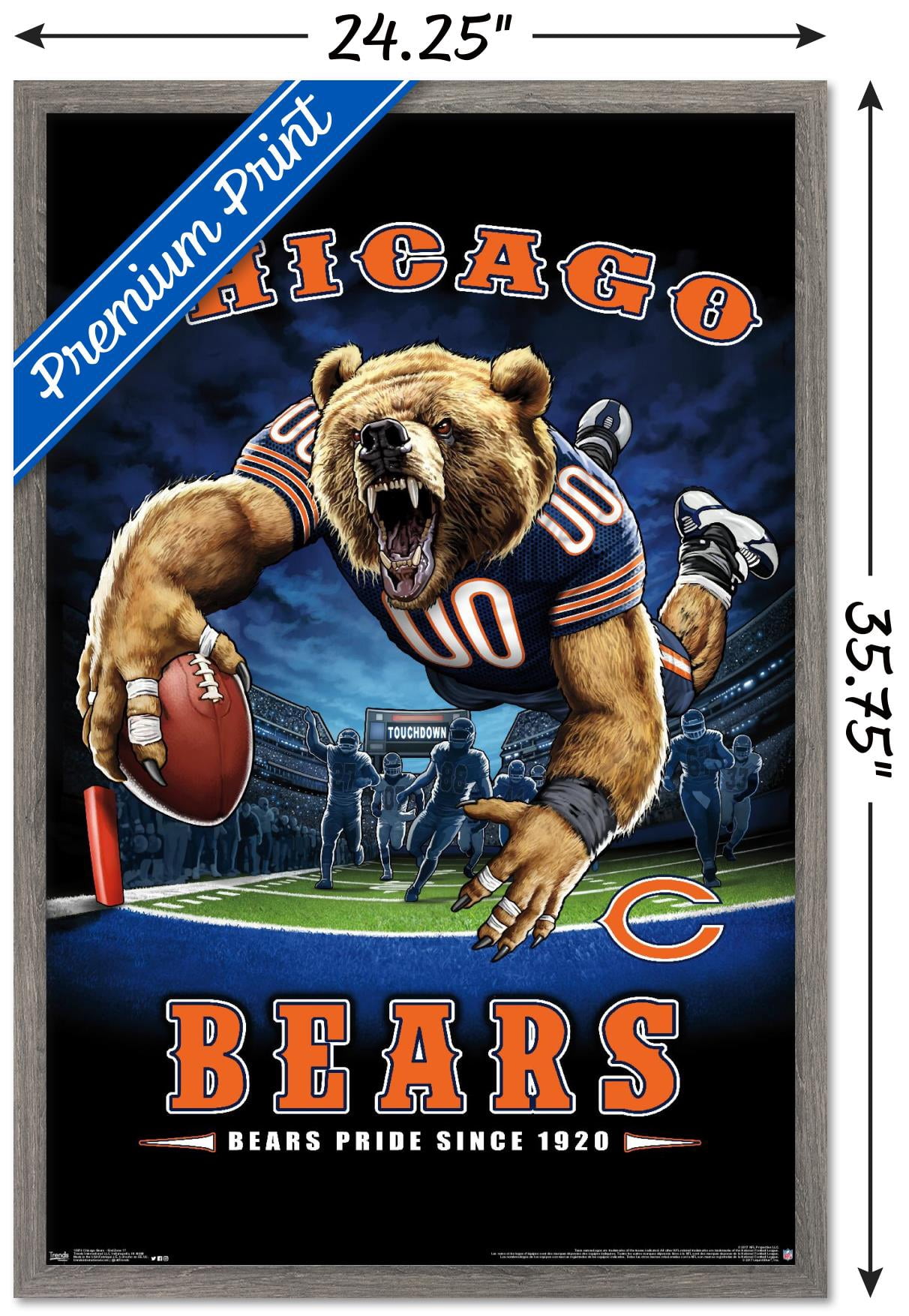 NFL Chicago Bears - End Zone 17 Wall Poster, 22.375" x 34", Framed