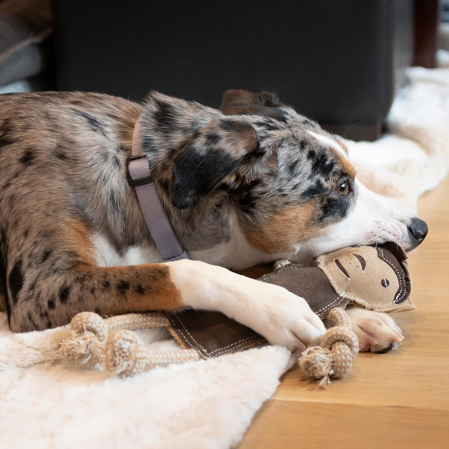SPOT Leather Dog Toys – Dura-Fused Jungle Animals with Squeakers and Rope Limbs, No-Stuffing, for Light to Moderate Chewers, 14in, 1 Piece