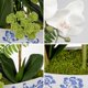 thumbnail image 4 of Jarrón de cerámica Briful con forma de orquídea artificial, 46 cm, blanco y azul, 4 of 7