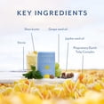 thumbnail image 3 of Barra solar Bloomeffects Tulip Dew Shield & Glow SPF 50 17 g, 3 of 6