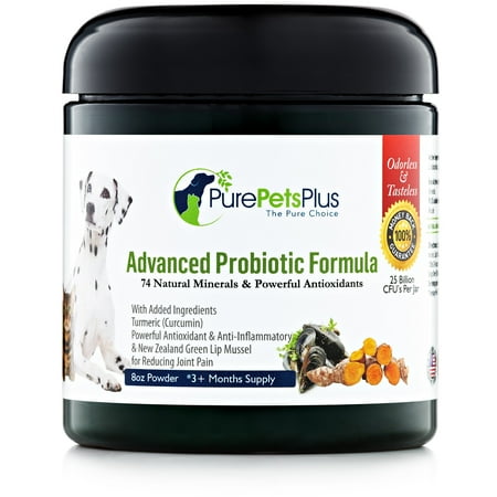 No Probiotics In Dog Food No Probiotics In Dog Food