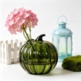 thumbnail image 5 of Hovilon Glass Pumpkin Vase for Flowers, Decorative Hydroponic Pumpkin Flower Vase in Clear Green Orange, Thick Glass Centerpiece for Fall Thanksgiving Halloween, Compact Tabletop Home Decor Gift, 5 of 6