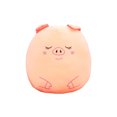 thumbnail image 1 of Juguetes de peluche Manta de almohada de perro de dibujos animados 2 en 1 Lindo edredón de aire acondicionado para mascotas Wmkox8yii  shdjk4495, 1 of 1