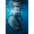 thumbnail image 3 of Gabriel, Barathieu 17x24 Black Modern Framed Museum Art Print Titled - Humpback Whale And Calf, 3 of 5
