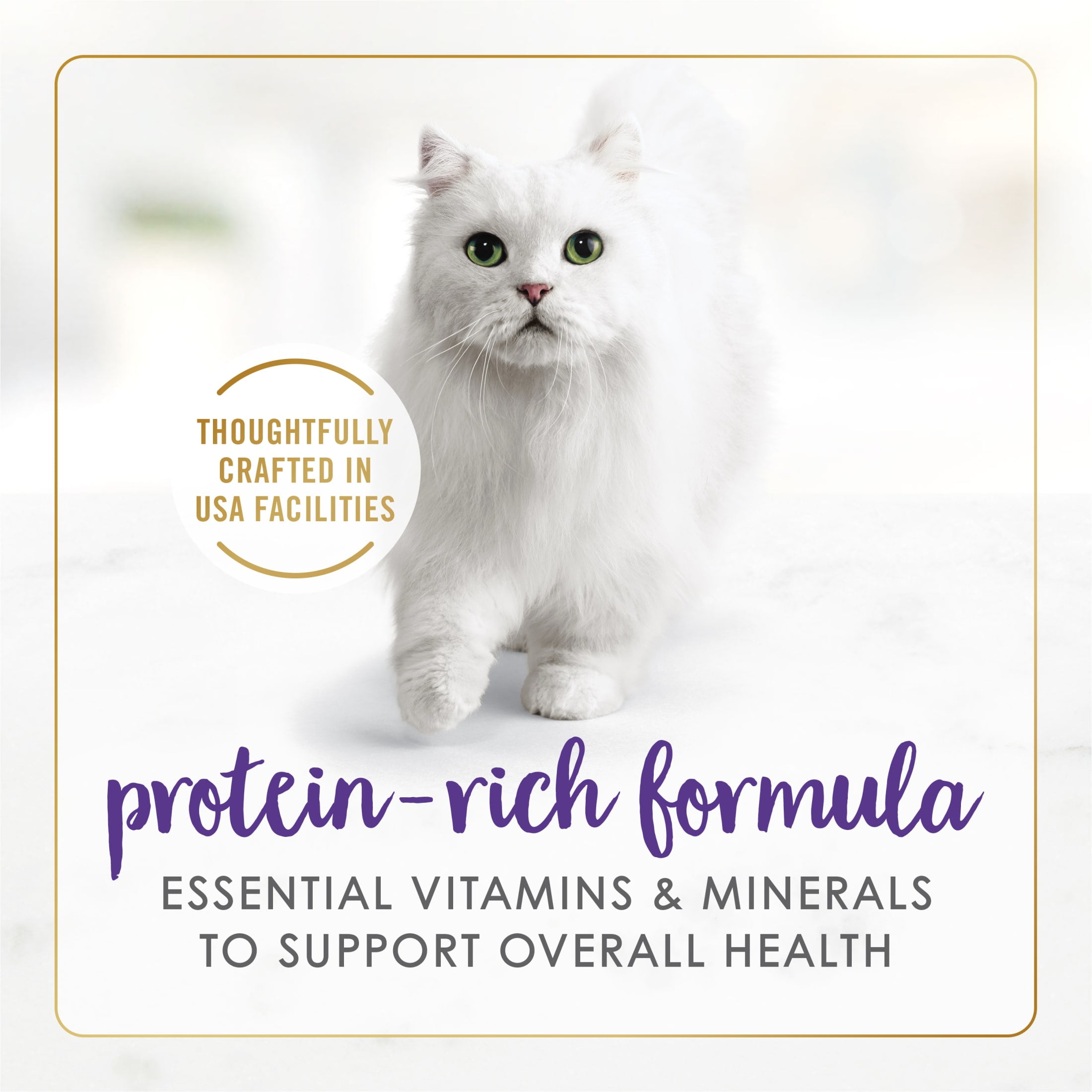 Purina Fancy Feast Gravy Lovers Wet Cat Food Chicken Beef, 3 oz Cans (24 Pack)