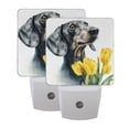 thumbnail image 7 of Dachshund with Yellow Tulips Watercolor LED Night Light Sensor Lamp Plug-in Adjustable Brightness 2 Pack, 7 of 7