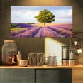 thumbnail image 1 of Lonely Green Tree in Lavender Field - Extra Large Landscape Canvas Art, 1 of 3