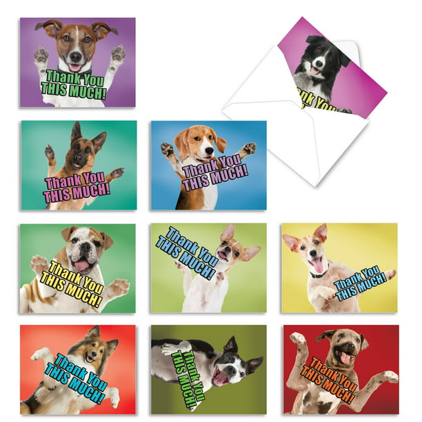 10 Bulk Thank You Cards with Envelopes (4 x 5.12 Inch) - DOG BIG THANKS - Walmart.com - Walmart.com