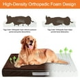 thumbnail image 3 of PayUSD Dog Bed for Extra Large Dogs Waterproof Thick Dog Beds Big Orthopedic Dog Beds with Removable Double Layer Washable Cover for Large Dogs Pet Bed Mat Egg-Crate Foam, XL(40"x30"x4"), Brown, 3 of 8