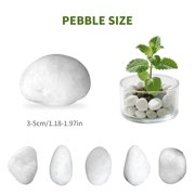 White River Rocks 40lbs - 1-2 Inch Natural Polished Pebbles for Landscaping, Indoor Plants, Aquariums & Vase Filler - Moisture-Retaining Decorative Stones