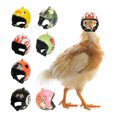 thumbnail image 1 of Chicken Parrot Bird Helmet Head Guard 7-Piece Set for Poultry Ducks Hens Parakeet, 1 of 5