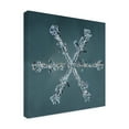 thumbnail image 2 of Print Collection 'Stellar Dendrite Snowflake 4' Canvas Art, 2 of 4