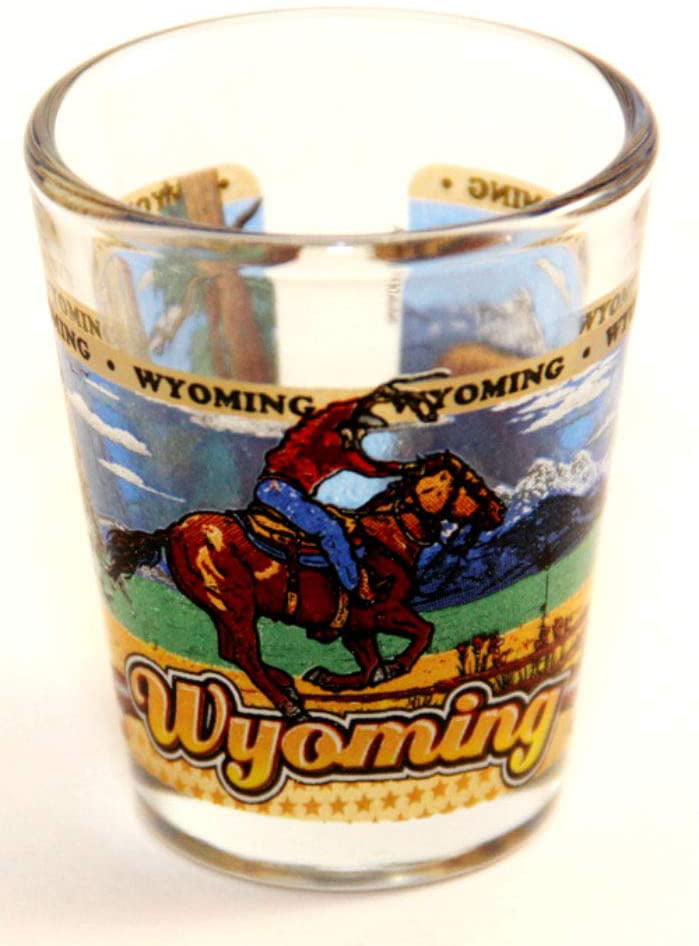 Wyoming frosted shot glass 