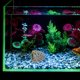 thumbnail image 4 of BESTYASH De Acuario Con Refugio En De Cueva Para Camarones Y Peces Betta, 4 of 6