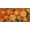 BLACK, variant on wall26 Framed Canvas Print Wall Art Set Sliced Orange Fruit Collage Fruit Dessert Photography Realism Contemporary Scenic Colorful Multicolor for Living Room, Bedroom, Office - 16"x24"x3 BL