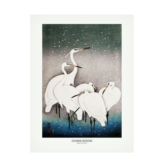 Trademark Fine Art Pictufy Group Of Egrets Canvas Wall Art