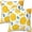 Lemon, variant on Lemon Throw Pillow Covers Set of 2 Soft Pillow Case Protectors with Zipper Standard Size Pillowcase Square for Bed, Sofa, Living Room, Outdoor (20")