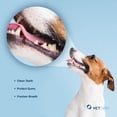 thumbnail image 3 of VetOne DuoClenz Enzyme-Coated Dental Chews, Medium, 30 Count, 3 of 6