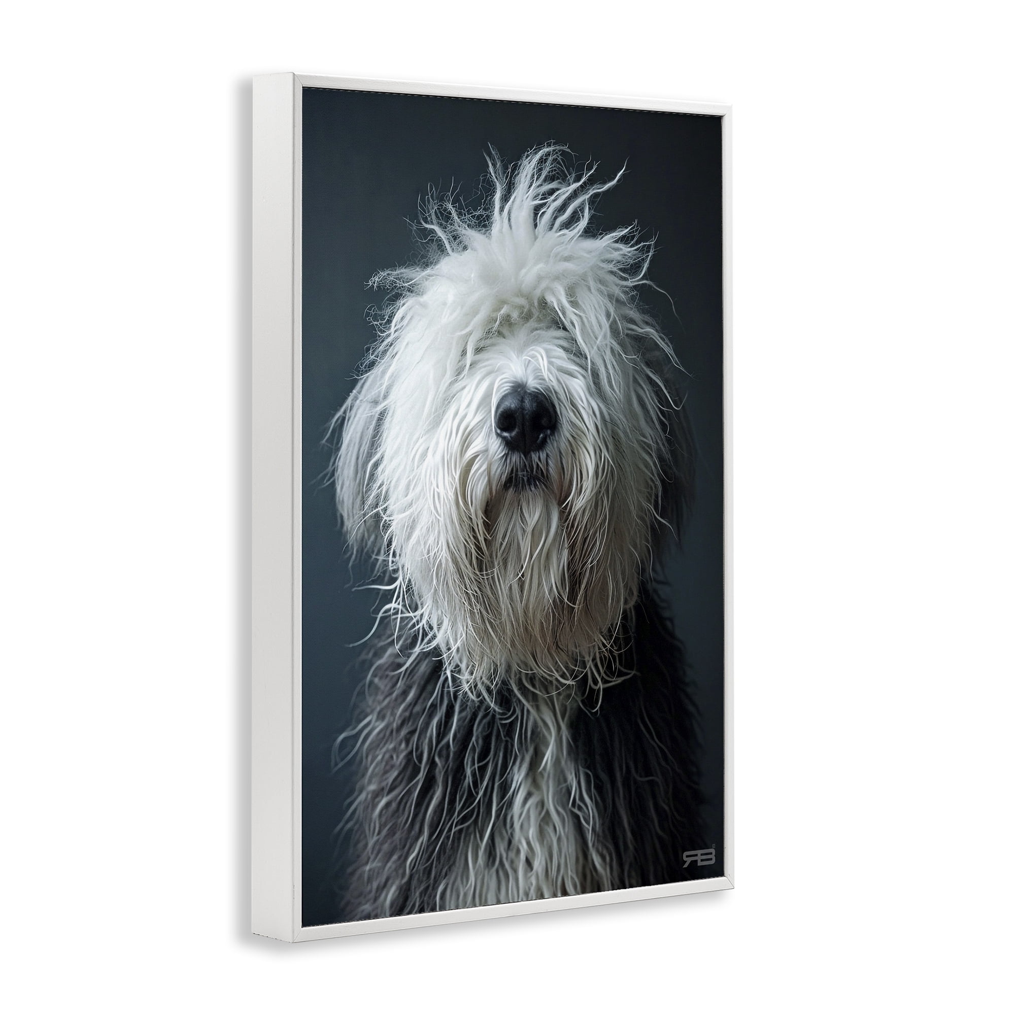 Stupell Industries Shaggy Pup Portrait Animals & Insects Painting White Framed Art Print Wall Art, 16 x 24