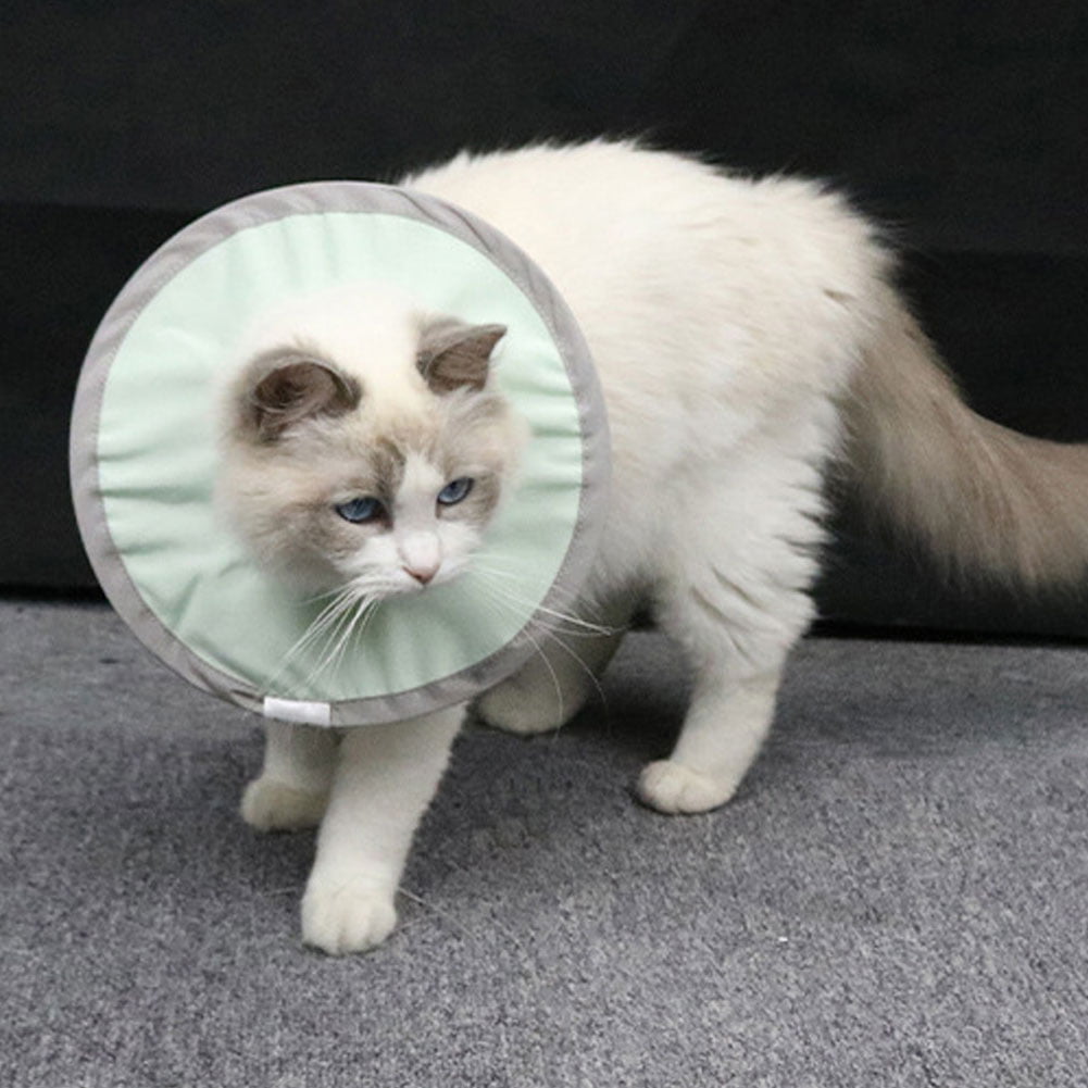Mgaxyff Cat AntiLicking Collar Water Resistant Elizabethan Collar