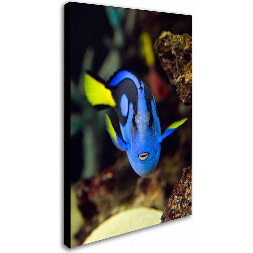 Trademark Fine Art "Parrot Fish" Canvas Art by Kurt Shaffer